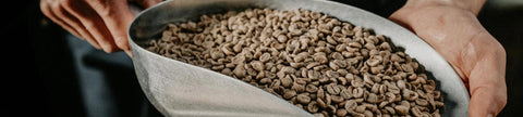 UNSERE ROHKAFFEES