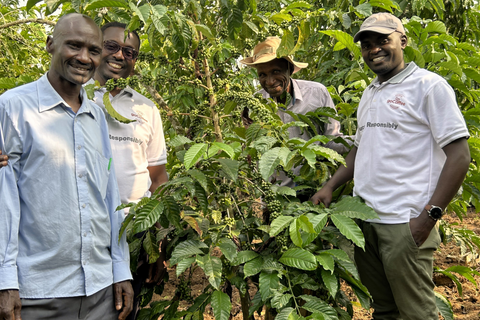 Natural Robusta - Screen 18
