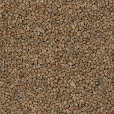 Arabica - PB SL 28