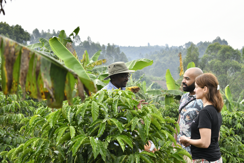 Natural Robusta - Screen 18