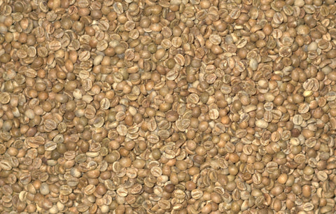 Natural Robusta - Screen 18