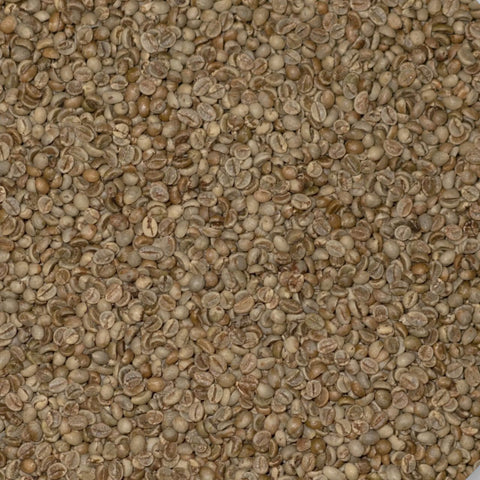 Robusta - Screen 18