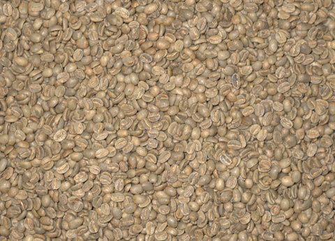 Arabica - AA SL 14